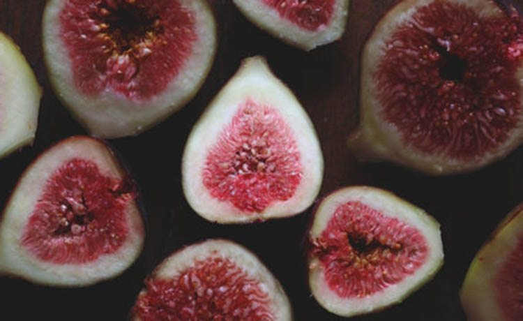 Figs+6