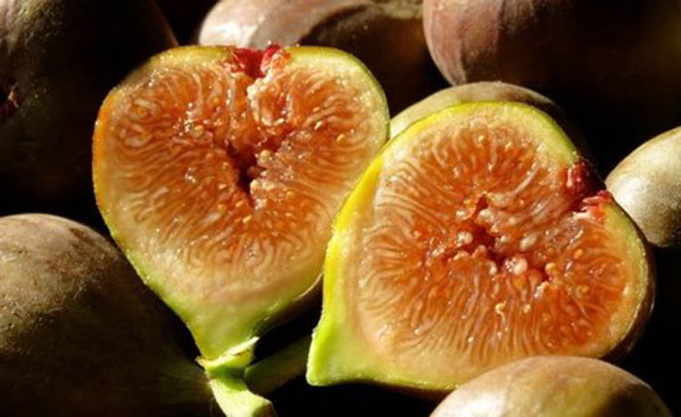 Figs+7