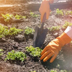gardening-tools-on-fertile-soil-texture-background-seen-from-above-gardening-or-planting-concept-working-in-the-spring-garden