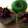 Black sapote - Image 2